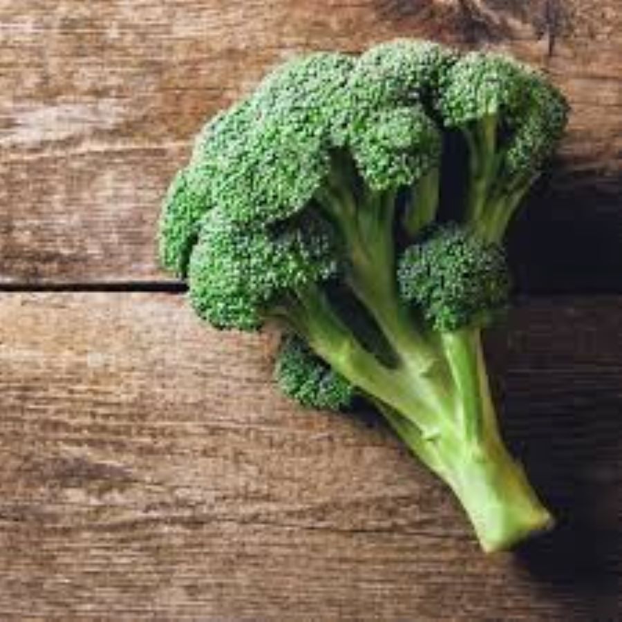 BROCOLI BIO LA FERME EN PAGAILLE