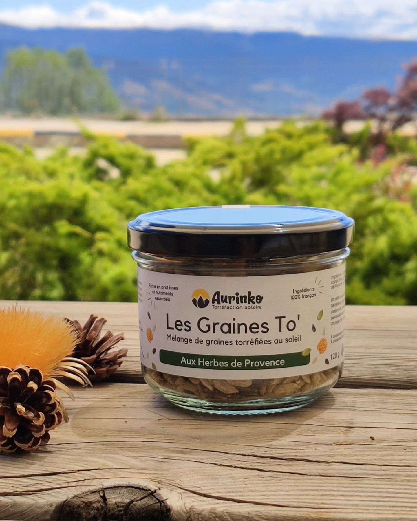 GRAINES TO' 120 G HERBES PROVENCE